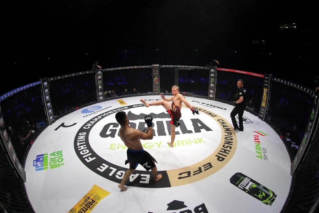 Cage MMA de Compétition Arrondie FMMAF