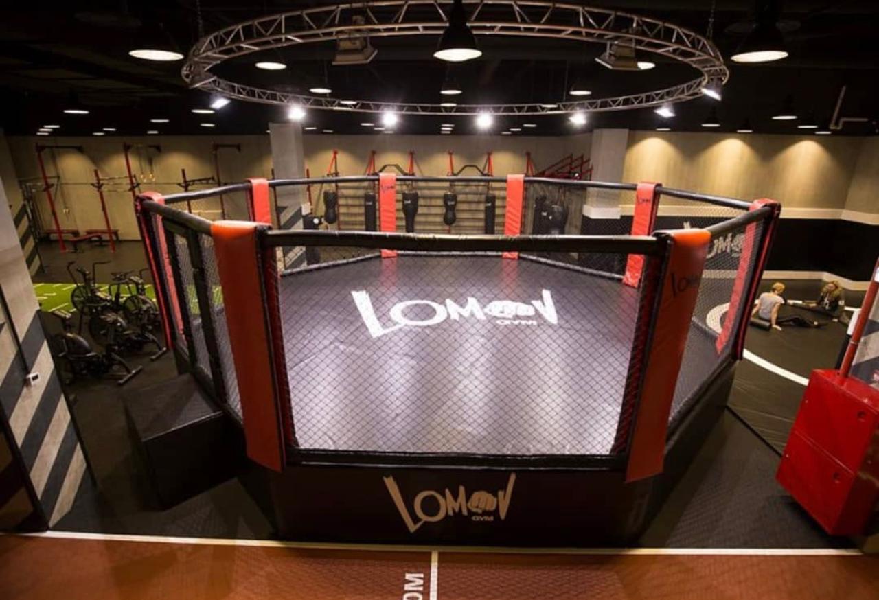 Cage MMA Pro Surélevée