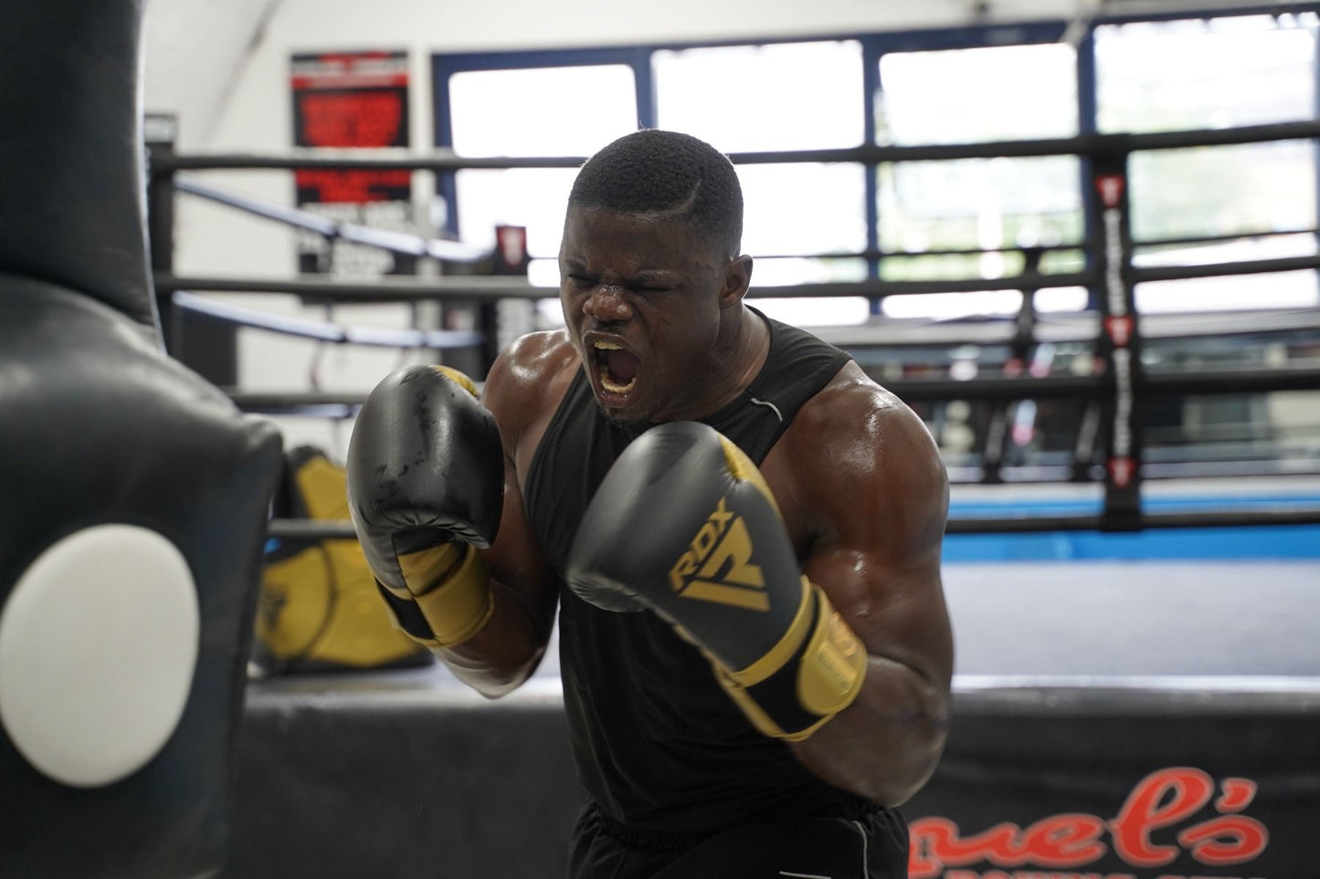 Gants de Boxe Tri Lira 2 Mark Pro RDX