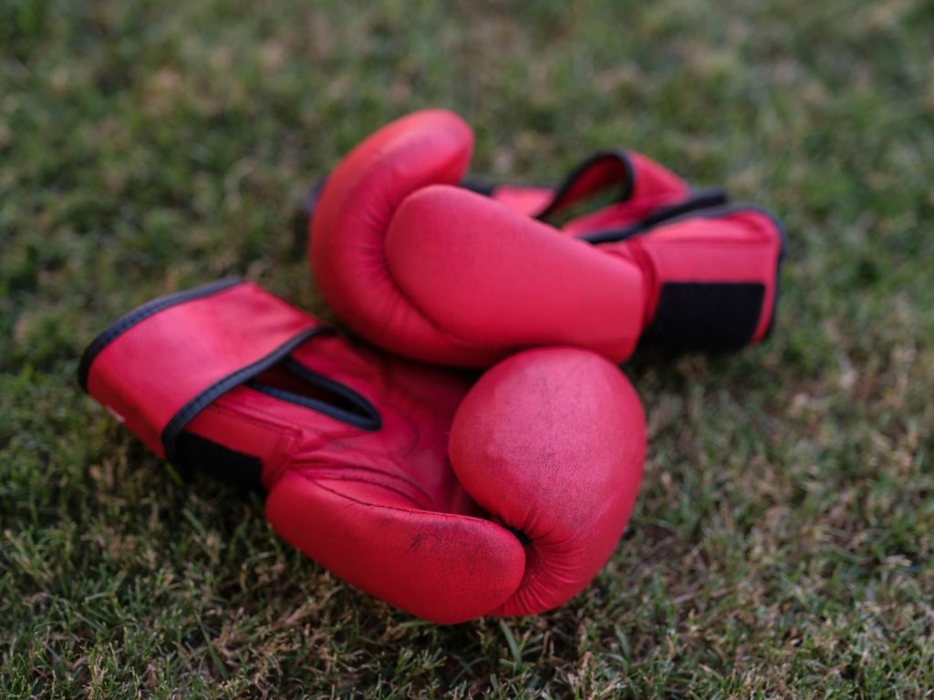 Illustration : Avis RDX F12 MMA Gloves : Bon au sac et aux pattes d’ours, déconseillé pour le sparring