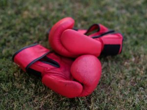 Illustration : Avis RDX F12 MMA Gloves : Bon au sac et aux pattes d&rsquo;ours, déconseillé pour le sparring