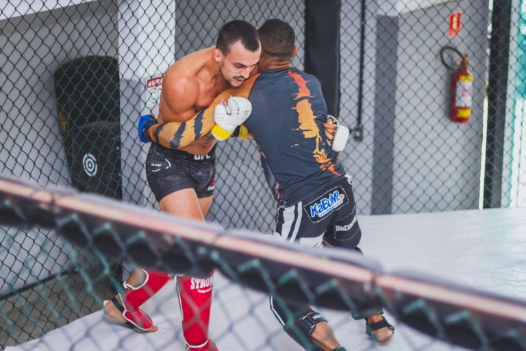 Illustration : Comment choisir sa cage MMA ou son octogone
