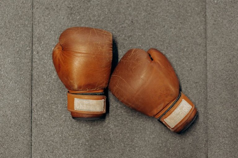 Illustration : Comment choisir ses gants MMA
