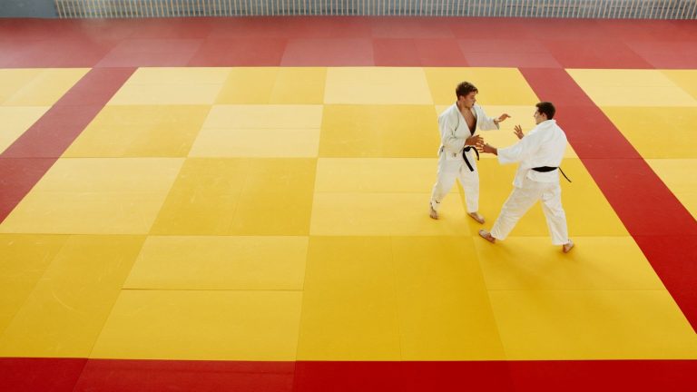 Illustration : Comparatif tapis MMA 2025 : Quel tapis pour ta salle d’entraînement ?