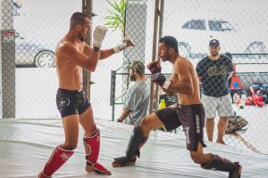 Illustration : combat de MMA en cage