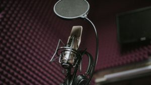 High-quality microphone and pop filter setup in a soundproof music studio.