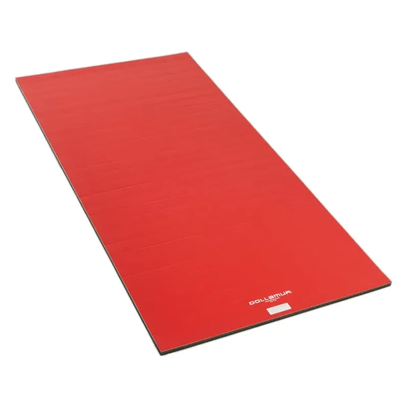Dollamur 5'x10' Martial Arts Mat for Home (FLEXI-Roll Hybrid Tatami)