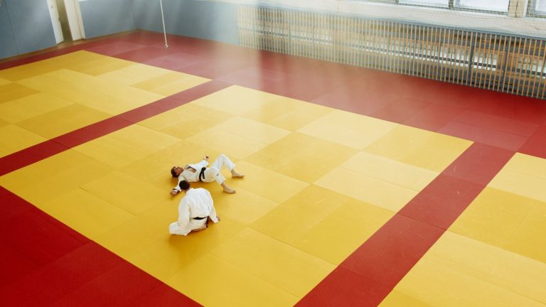 Tatamis de combat dans une salle