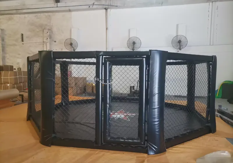 Octogone au sol Sparring