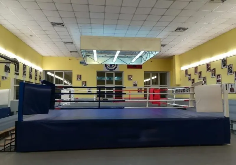Ring de boxe Promotion