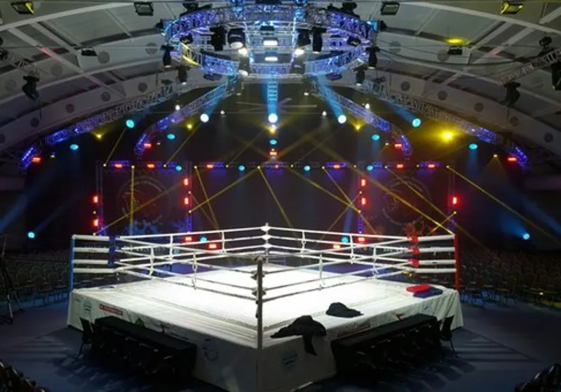 Ring MMA Pro