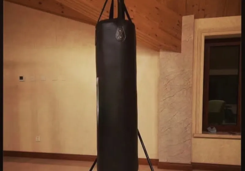 Sac de frappe droit Pro