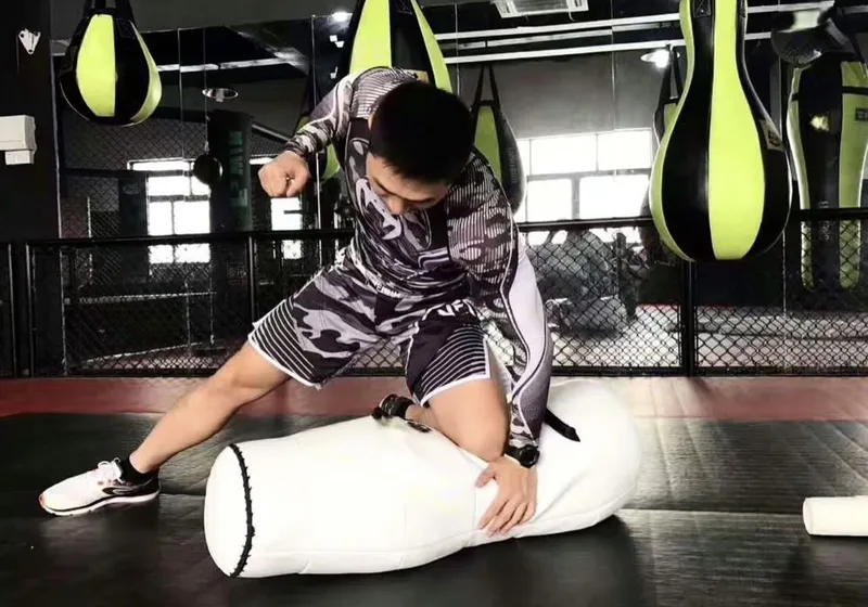 Sac de ground and pound Pro