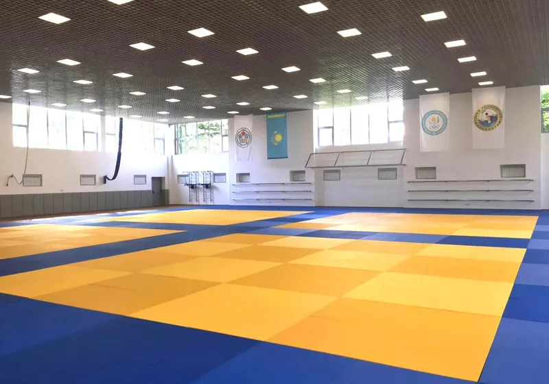 Tatami Compétition