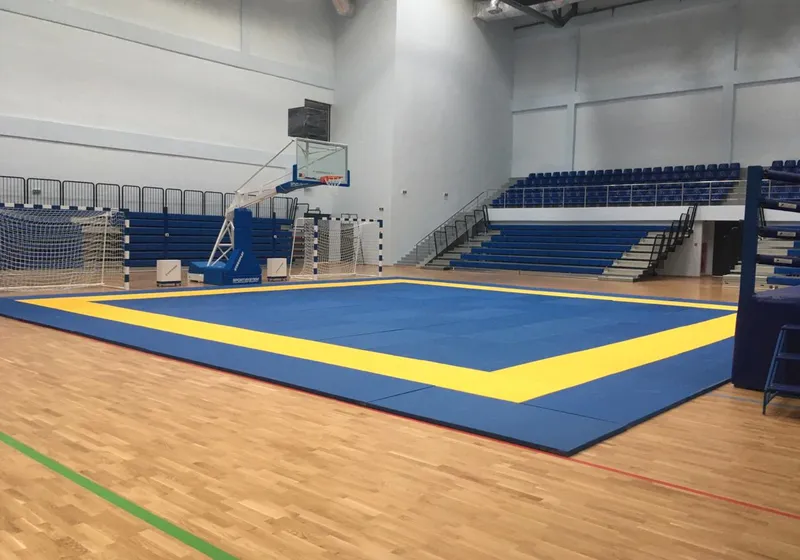 Tatami Pro judo
