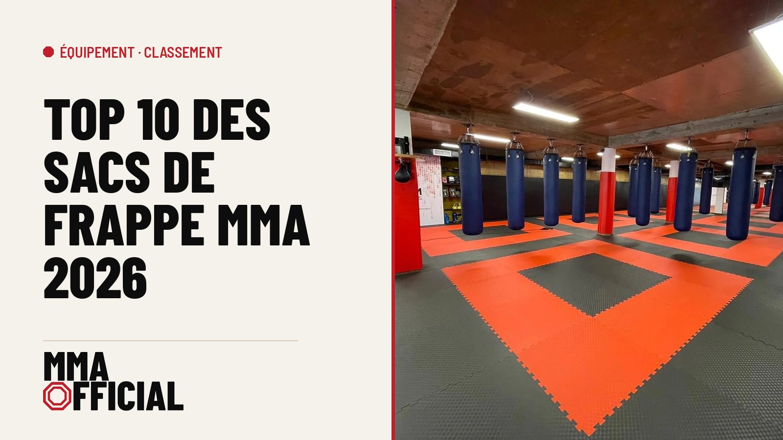Top 10 des sacs de frappe MMA 2026 : le meilleur modèle de chaque marque