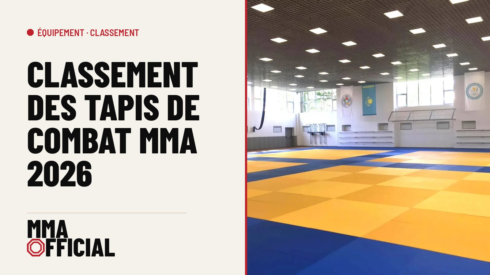 Classement des tapis de combat MMA 2026 : le meilleur modèle de chaque marque