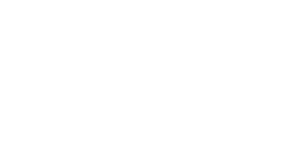 Everlast logo
